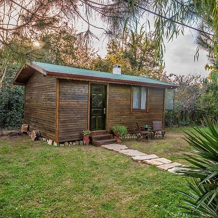 Tartaruga Motel Goce Luaran gambar