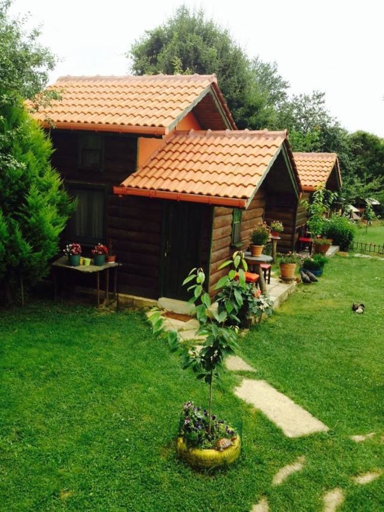 Tartaruga Motel Goce Luaran gambar