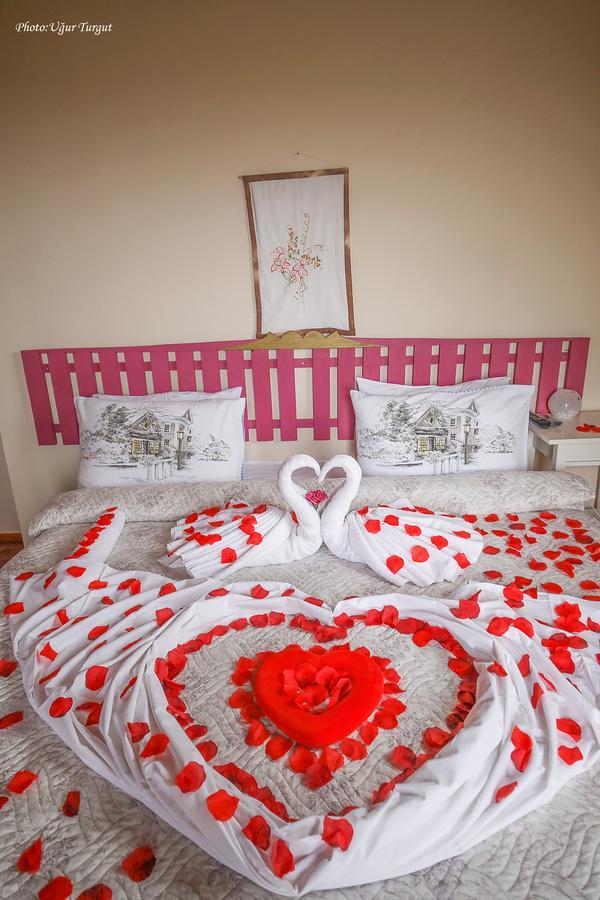 Tartaruga Motel Goce Luaran gambar