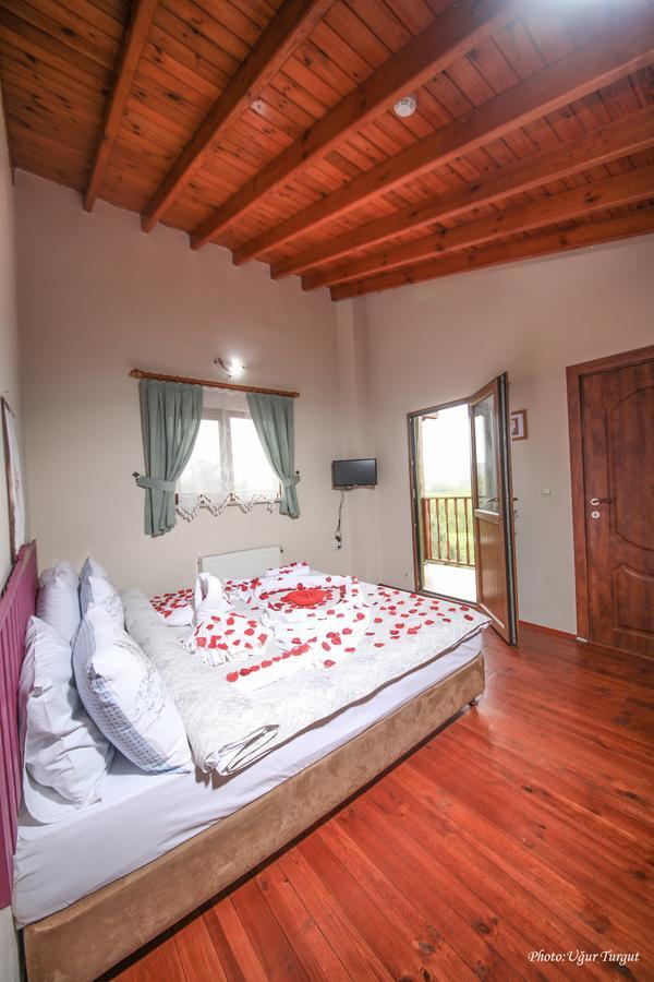 Tartaruga Motel Goce Luaran gambar