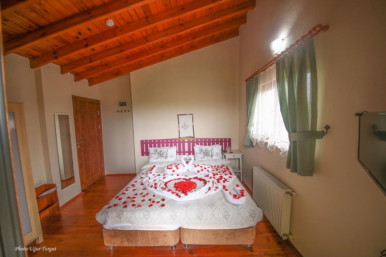 Tartaruga Motel Goce Luaran gambar