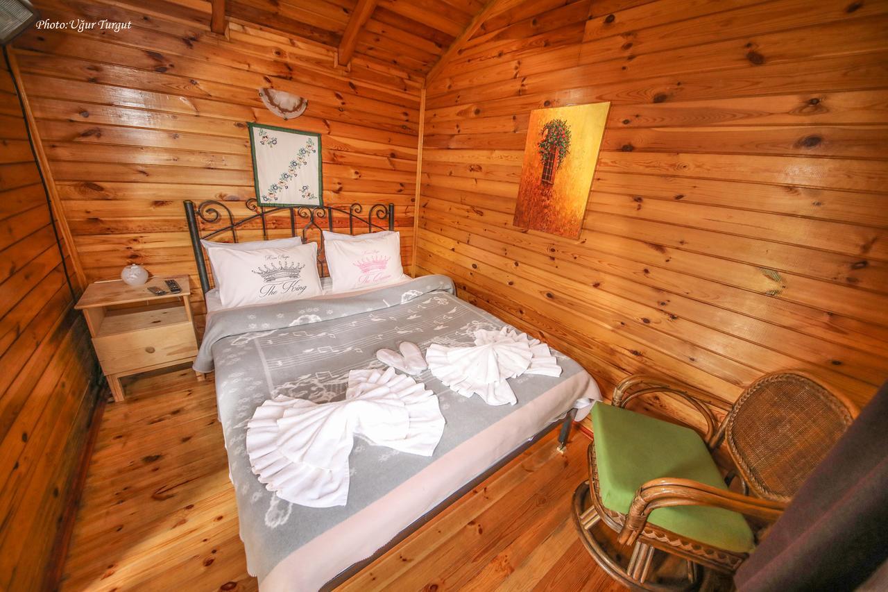 Tartaruga Motel Goce Luaran gambar