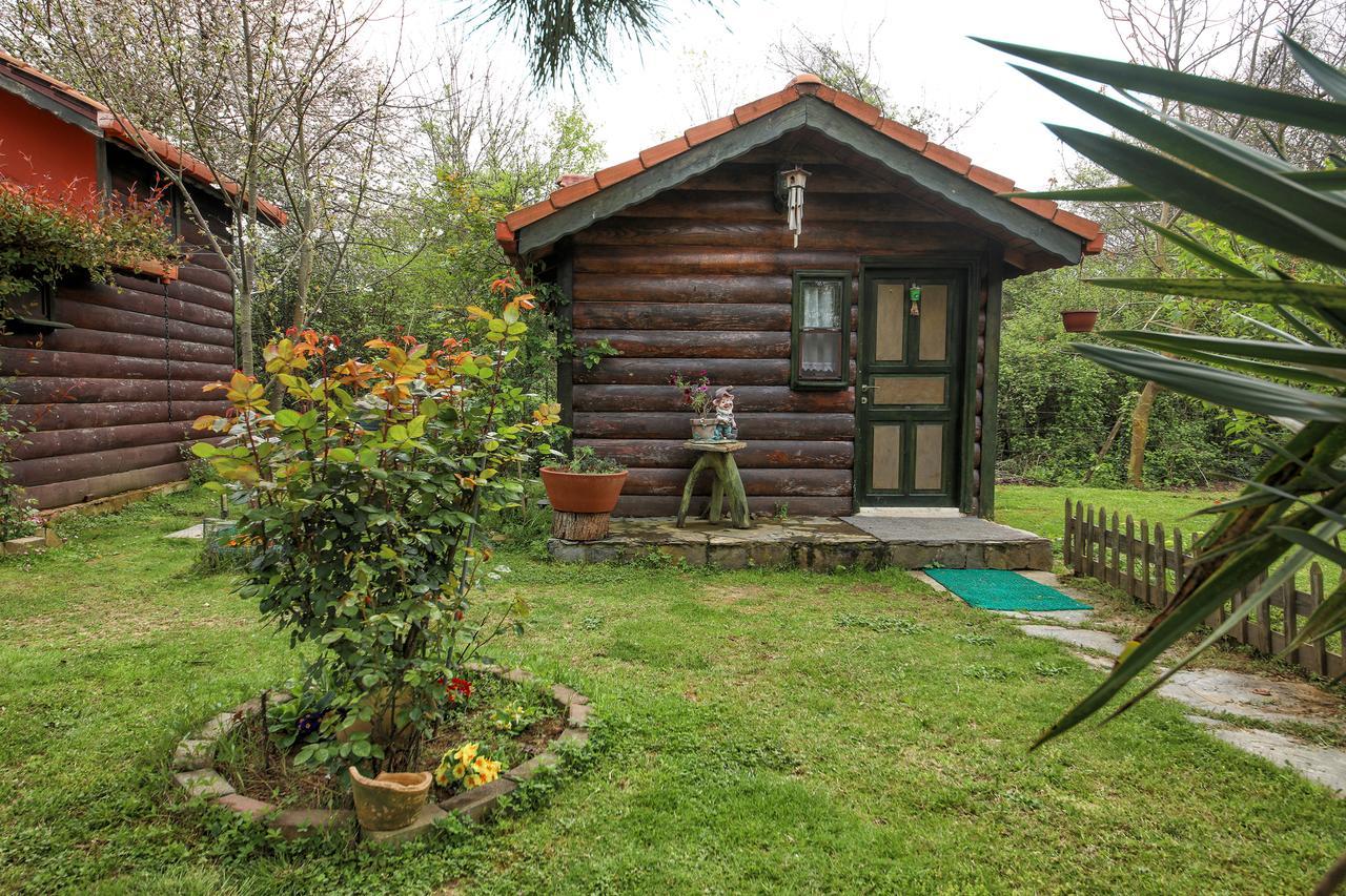 Tartaruga Motel Goce Luaran gambar