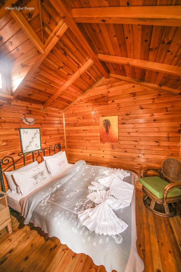 Tartaruga Motel Goce Luaran gambar