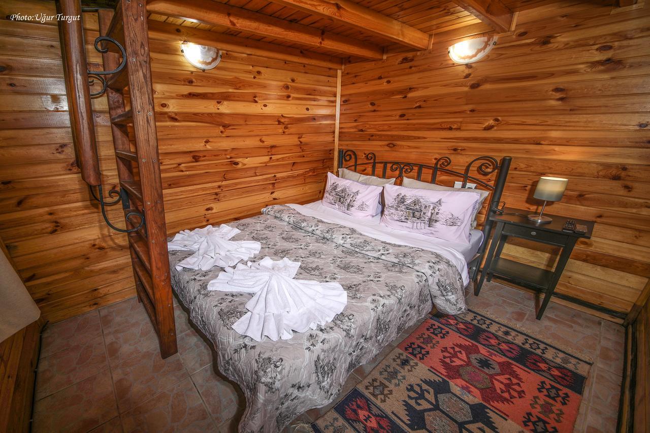 Tartaruga Motel Goce Luaran gambar