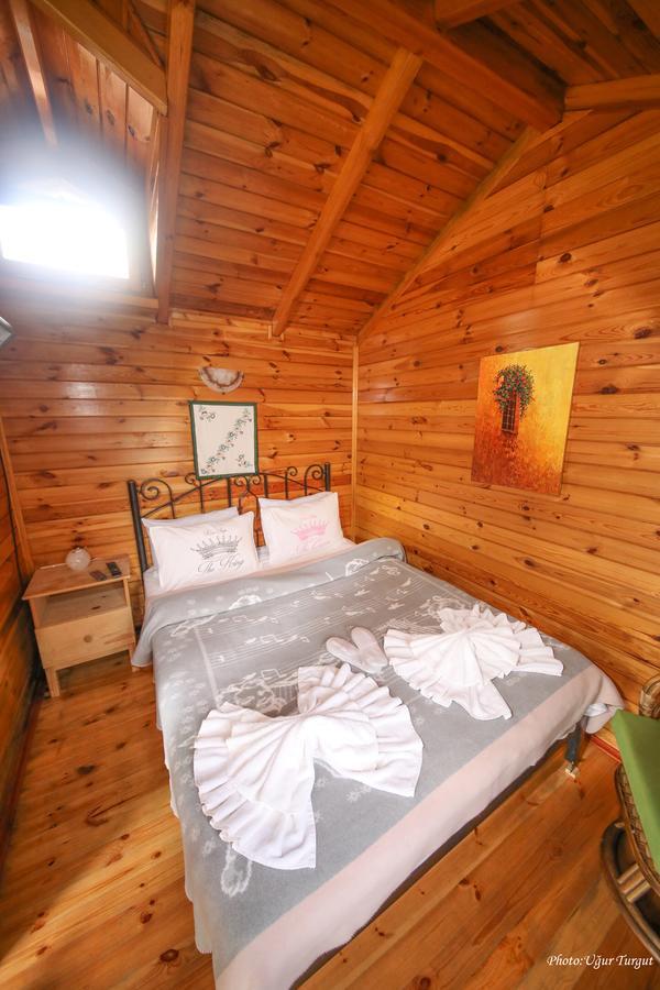 Tartaruga Motel Goce Luaran gambar