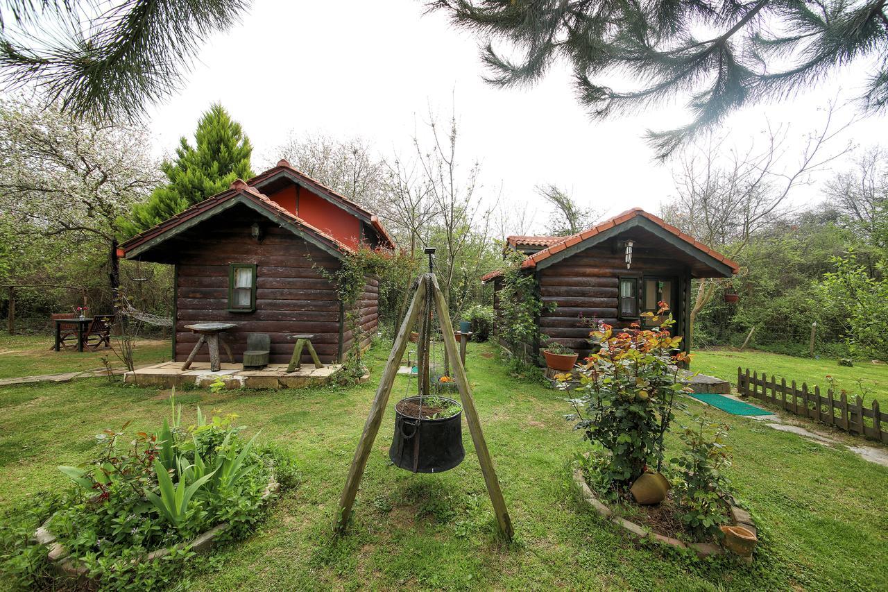 Tartaruga Motel Goce Luaran gambar