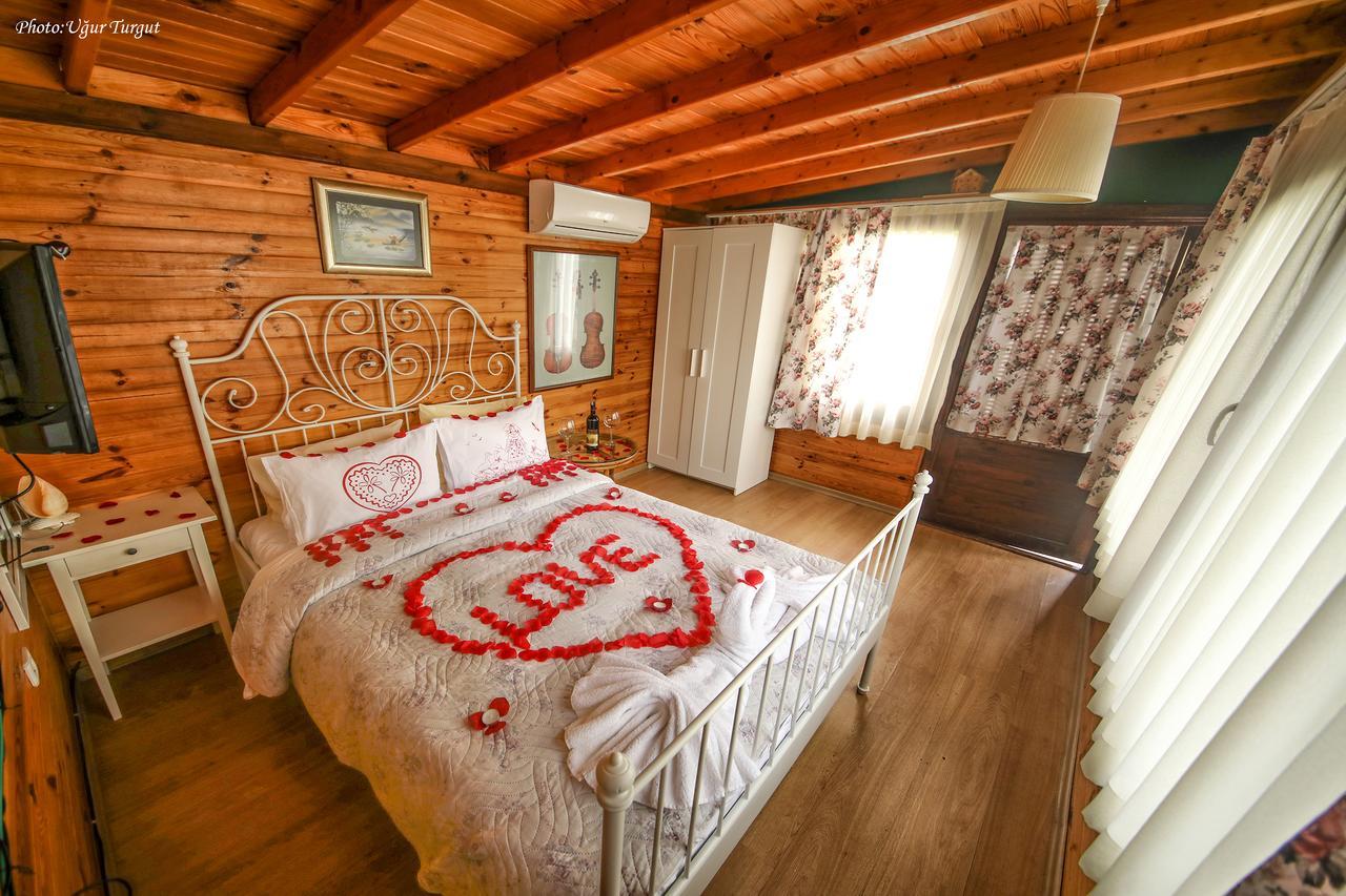 Tartaruga Motel Goce Luaran gambar