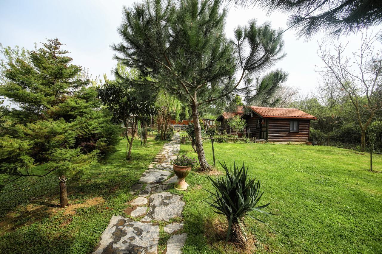 Tartaruga Motel Goce Luaran gambar