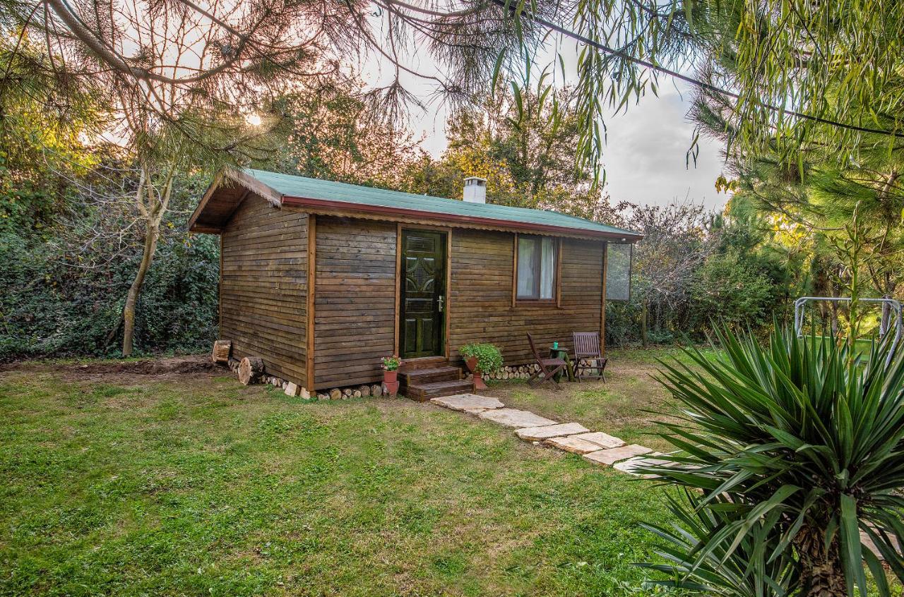 Tartaruga Motel Goce Luaran gambar
